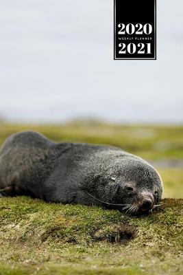 Book cover for Seal Manatee Sea Lion Cow Walrus Dugong Week Planner Weekly Organizer Calendar 2020 / 2021 - On the Lawn