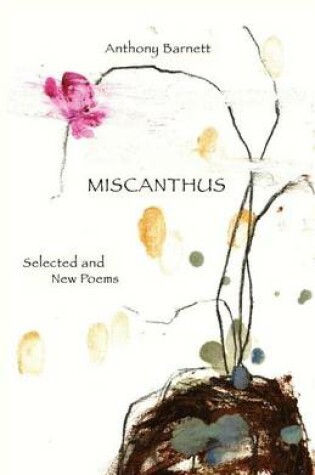 Cover of Miscanthus