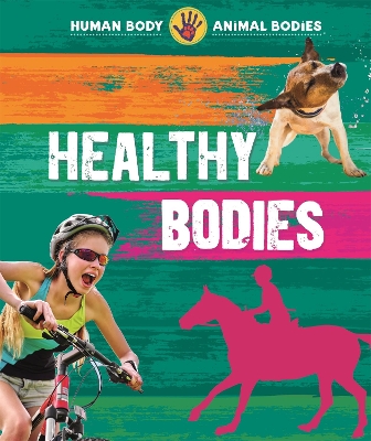 Book cover for Human Body, Animal Bodies: Healthy Bodies