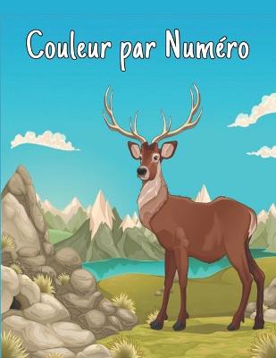 Book cover for Couleur par Numéro