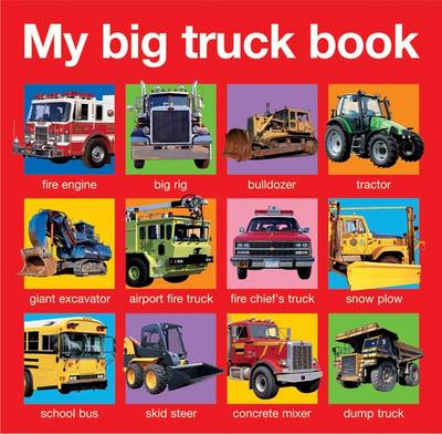 Book cover for My Big Truck Book