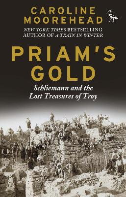 Book cover for Priam's Gold