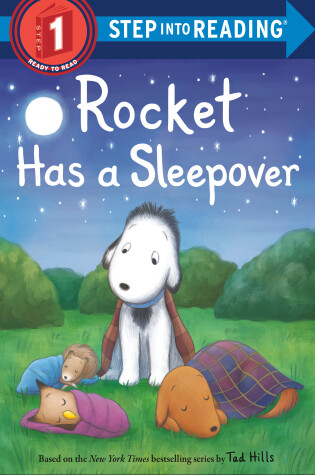 Cover of Rocket Has a Sleepover