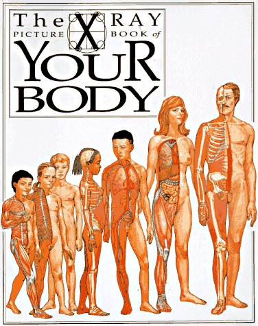Book cover for The X Ray Picture Book of Your Body