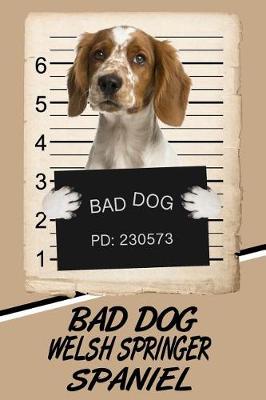 Book cover for Bad Dog Welsh Springer Spaniel