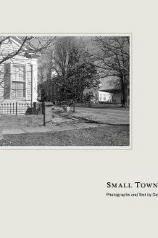 Cover of Small Town South