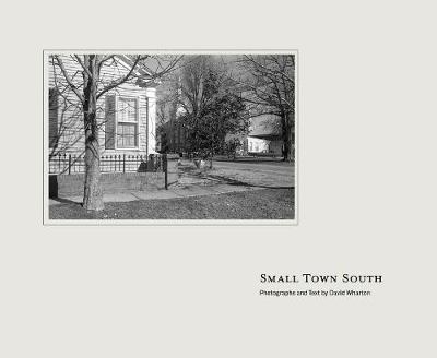 Book cover for Small Town South