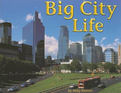 Book cover for Big City Life