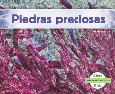 Cover of Piedras Preciosas