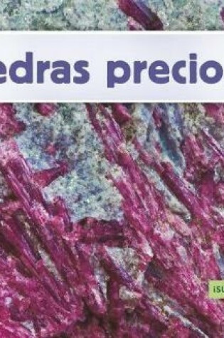 Cover of Piedras Preciosas