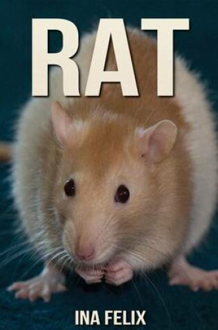 Cover of Rat