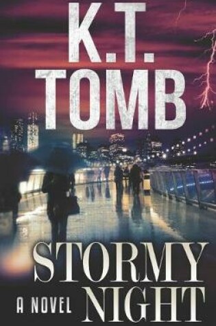 Cover of Stormy Night