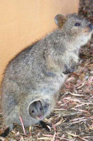 Cover of Quokka with a Baby Journal