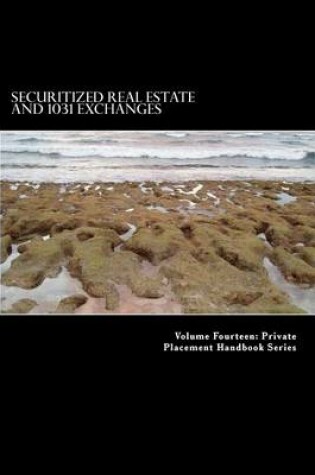 Cover of Securitized Real Estate and 1031 Exchanges