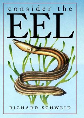 Book cover for Consider the Eel