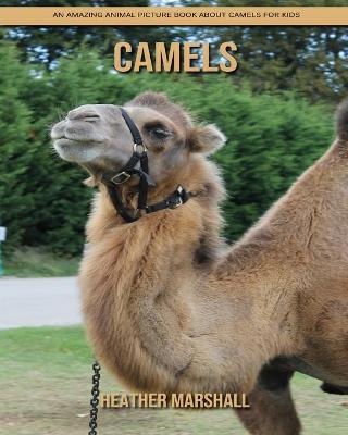 Book cover for Camels