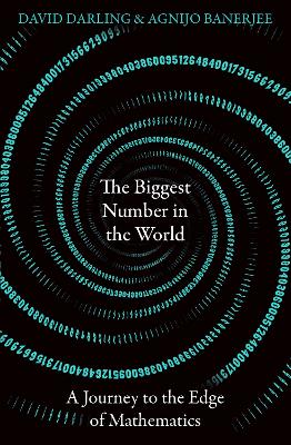 Book cover for The Biggest Number in the World