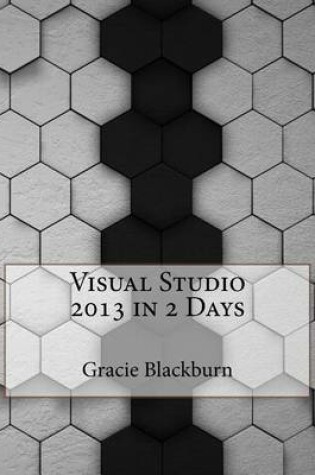 Cover of Visual Studio 2013 in 2 Days