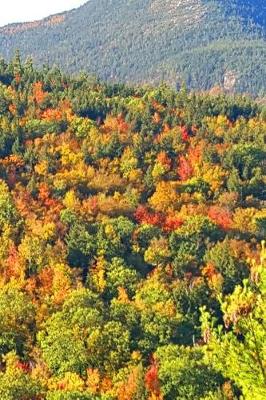 Cover of Fall 2019 Weekly Planner Mountainside Autumn Colors 134 Pages