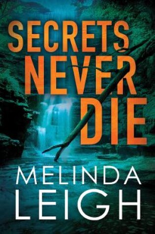 Cover of Secrets Never Die