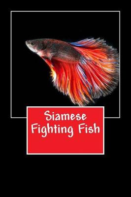 Book cover for Siamese Fighting Fish (Journal / Notebook)