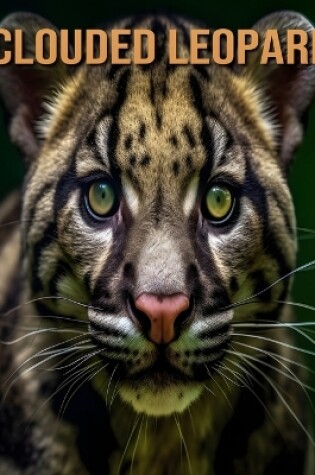 Cover of Clouded Leopard