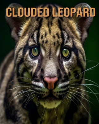 Book cover for Clouded Leopard