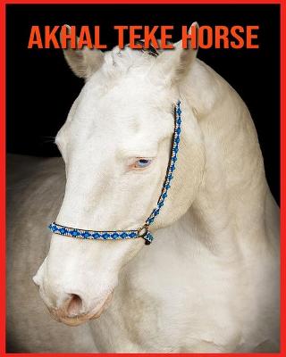 Book cover for Akhal Teke Horse