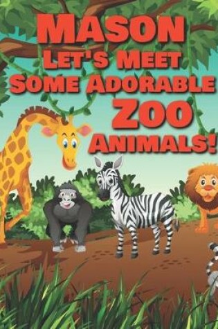 Cover of Mason Let's Meet Some Adorable Zoo Animals!