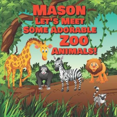 Book cover for Mason Let's Meet Some Adorable Zoo Animals!