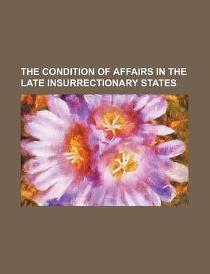 Book cover for The Condition of Affairs in the Late Insurrectionary States