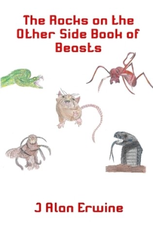 Cover of The Rocks on the Other Side Book of Beasts