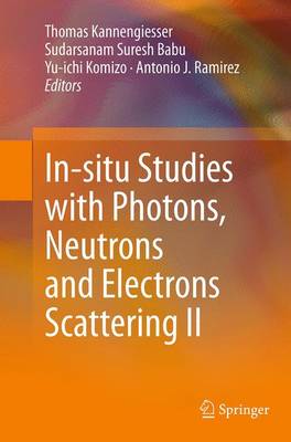 Cover of In-situ Studies with Photons, Neutrons and Electrons Scattering II