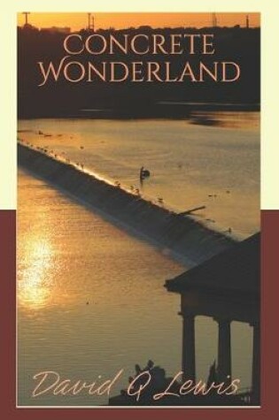 Cover of Concrete Wonderland