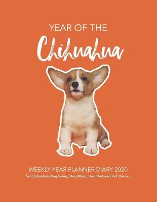 Book cover for YEAR of the Chihuahua