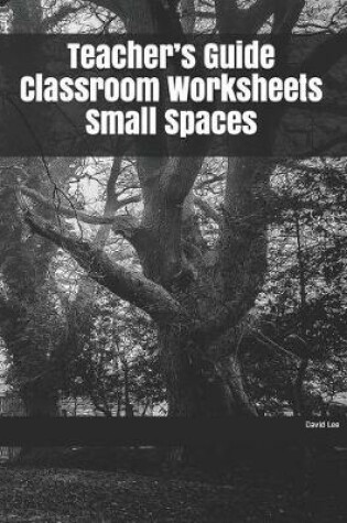 Cover of Teacher's Guide Classroom Worksheets Small Spaces