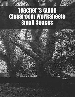 Book cover for Teacher's Guide Classroom Worksheets Small Spaces