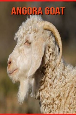 Cover of Angora Goat