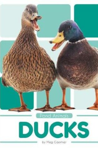 Cover of Ducks