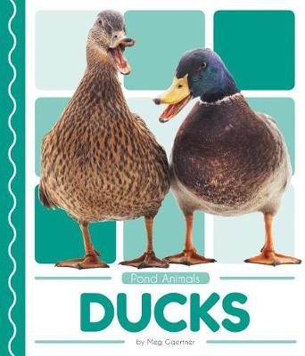 Cover of Ducks