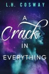 Book cover for A Crack in Everything