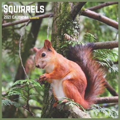 Book cover for Squirrels 2021 Calendar