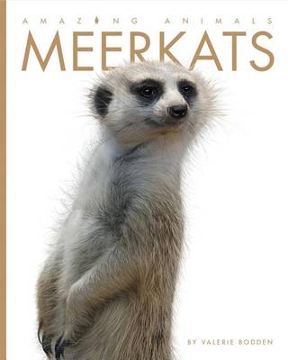 Book cover for Meerkats