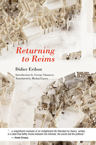 Cover of Returning to Reims