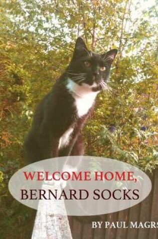 Cover of Welcome Home, Bernard Socks
