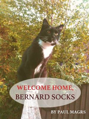 Book cover for Welcome Home, Bernard Socks