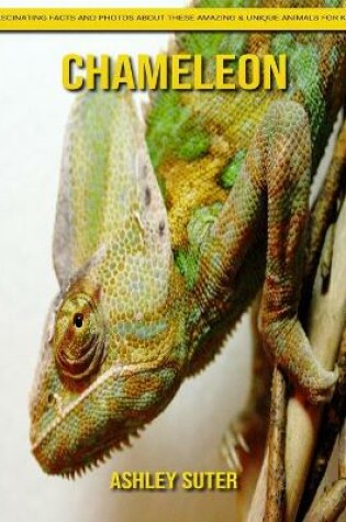 Cover of Chameleon