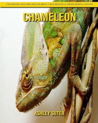 Book cover for Chameleon