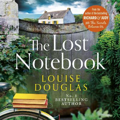 Book cover for The Lost Notebook