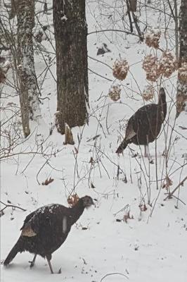 Book cover for 2020 Weekly Planner Winter Wild Turkeys Snowstorm 134 Pages